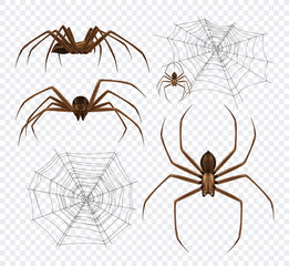 Spidernet Insects Transparent Set