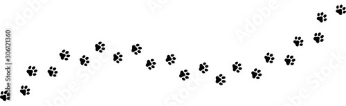 Photographie Seamless texture of a Paw print trail on white background