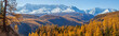 Panoramic autumn view, sunny day.  Nature of Siberia, wild place. Mountain taiga, snow-capped peaks.