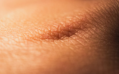 Closeup of skin