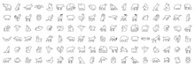 Linear Collection Of Animal Icons. Animal Icons Set. Isolated On White Background