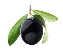One Black Olive With Leaves Isolated On White Background