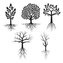 Set Of Tree With Roots Silhouettes. Vector Isolated Nature Illustration With Leaves And Branches. Park Plants.