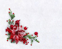 Christmas Decoration. Flower Of Red Poinsettia, Twigs Christmas Tree, Red Apples, Red Berries On Snow With Space For Text. Top View, Flat Lay