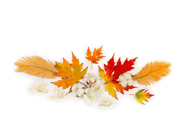 beautiful autumnal maple leaves, golden leaves palm tree, cotton flowers, dry white flowers orchid o