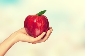 Wall Mural - Woman hand holding big red apple on bokeh background