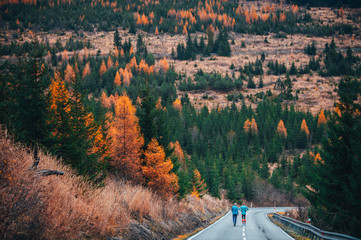 Wall Mural - Male couple while running training in autumn nature. Back view