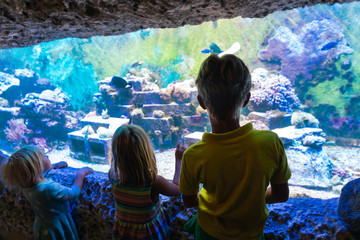 Wall Mural - kids -boy and girls -watching fishes in aquarium