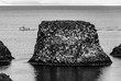 © ON-Photography - Gatklettur Island Steilküste Felsen Vögel Möwen Nester Nistplatz Brut Fischerboot Meer Ozean Sommer Wolken Natur Reiseziel Mittsommer schwarz weiß Symmetrie grafisch Spiegelung