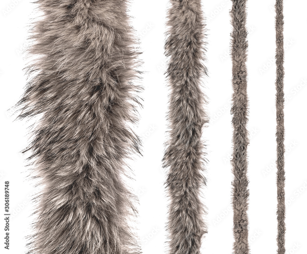 set of stripes of gray fur of different sizes on an isolated white background. - obrazy, fototapety, plakaty 