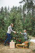 © sofiko14 - mom and son in jeans and knitted sweaters decorate a Christmas tree with colorful balls in the forest. wooden sledge, decorated present boxes under the tree