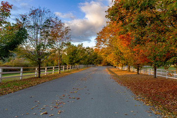 Quiet country road in Woodstock, Vermont