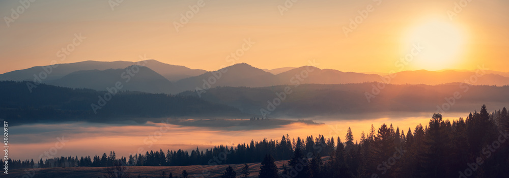 Majestic autumn scenery of foggy valley at Carpathian mountain range at early morning sunrise. Beautiful tonal perspective wide angle panorama. - obrazy, fototapety, plakaty 