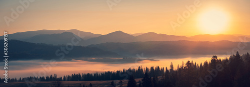Majestic autumn scenery of foggy valley at Carpathian mountain range at early...