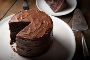 Wall Mural - american traditional chocolate cake coated with icing