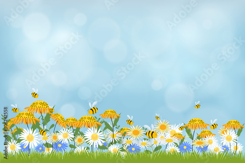 Vector illustraion Spring nature background, blue sky, green grass and chamomiles field. Landscape of Summer fields with sunflowers and daisy against blurry blue sky background
