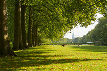 Hyde Park In The Autumn, London