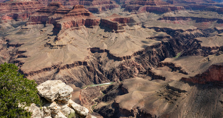 Wall Mural - Rim Trail near Hopi Point - Grand Canyon National Park