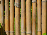 Fototapeta Sypialnia - The texture of the lined bamboo wall background