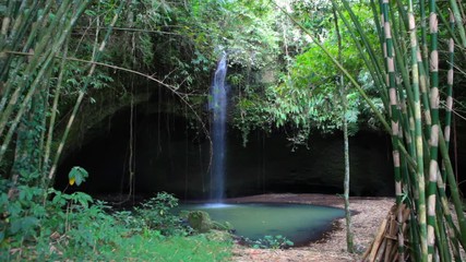 Wall Mural - tropical waterfall stream cascades in jungle in bali indonesia