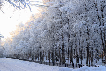 Winter road past the Park of birches, covered with snow and houses.  Selective focus. Winter landscape