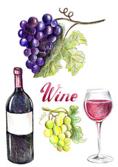 Hand drawn wine set, violet grapes, white grapes, red wine, glass. Pencil illustration.