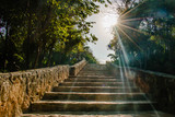 Fototapeta Natura - Escalera al sol 