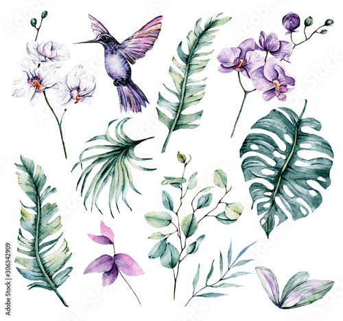 Photographie Set with watercolor hummingbird, tropical leaf and flowers orchid