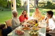 © WavebreakMediaMicro - Family eating outside together in summer
