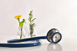 Jars with plants inside and stethoscope natural medicine concept