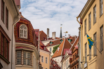 Wall Mural - Tallinn popular attractions