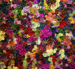 Various color flower background wall