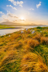 Sheep grazing on Eyeries beach as the sunsets behind them