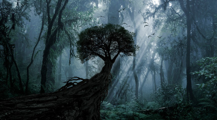 Plakat dżungla drzewa natura