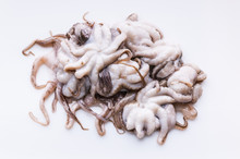 Little Fresh Octopus On A White Background. Healthy And Delicious Seafood.