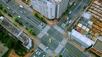 Wall Mural - Tokyo, Japan. Aerial view of skyscrapers from above during the day. Urban area in Bunkyo, Tokyo, Japan. Car traffic at the street, zoom out