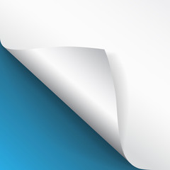 Poster - Paper page with curled corner and shadow. Template for your design. Set. Vector illustration