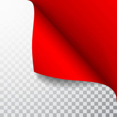 Poster - Paper page with curled corner and shadow. Template for your design. Set. Vector illustration