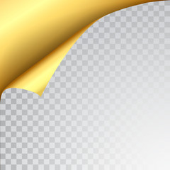 Poster - Paper page with curled corner and shadow. Template for your design. Set. Vector illustration