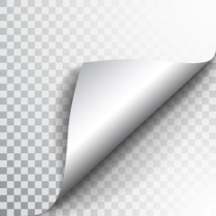 Poster - Paper page with curled corner and shadow. Template for your design. Set. Vector illustration