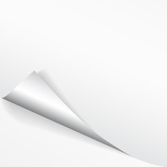 Poster - Paper page with curled corner and shadow. Template for your design. Set. Vector illustration