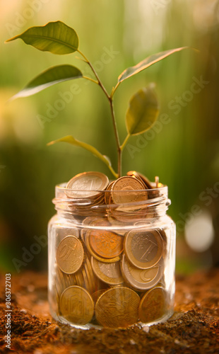 Fotografía Jar with coins and plant on soil outdoors. Money savings concept
