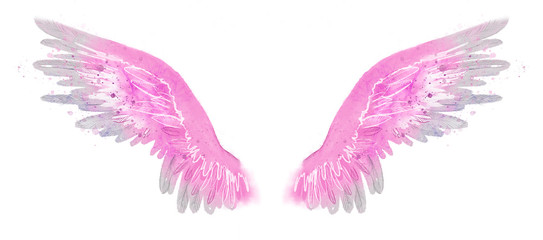 beautiful magic watercolor pink wings, freedom and hapiness