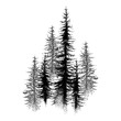 Dotted spruce tree or coniferous forest in black isolated on white background.