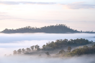  Yun Rai misty mountain foggy sunrise view point.