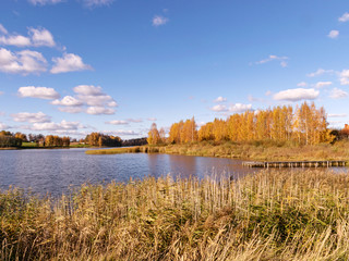 Wall Mural - colorful autumn landscape by the lake, golden autumn, colorful trees and reflections