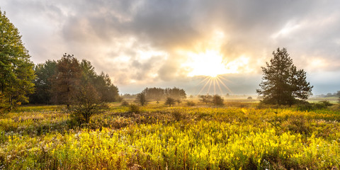 sunrise in canaan valley, wv