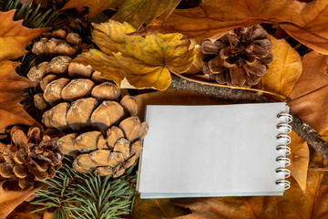 Wall Mural - Composition Created Using Pine Cones, Blank Paper For Text, Pine Branch, and Dry Autumn Leaves