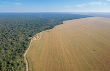 Aerial Drone View Of The Xingu Indigenous Park Territory Border And Large Soybean Farms In The Amazon Rainforest, Brazil. Concept Of Deforestation, Agriculture, Global Warming And Environment.