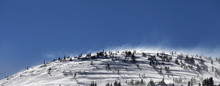 Snowy Slope With Fir And Blue Clear Sky At Wind Winter Day